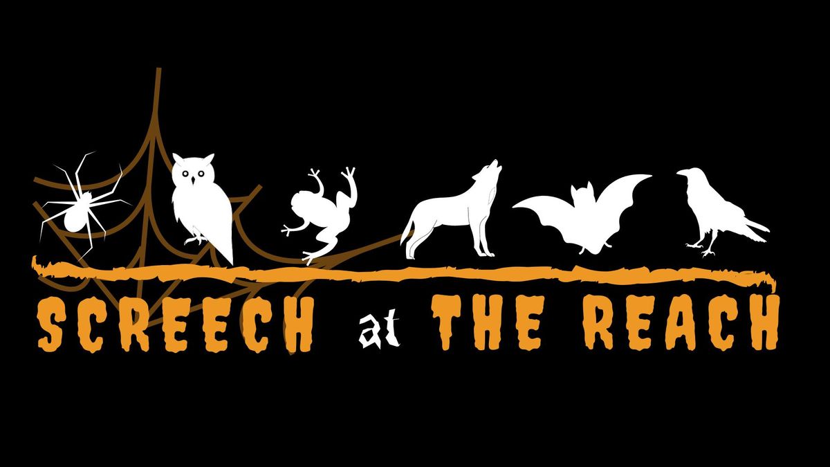 Screech at the REACH