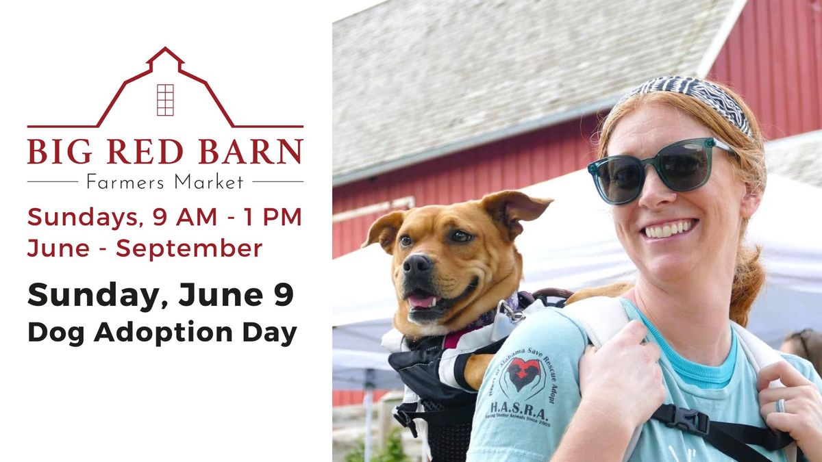 Dog Adoption Day : Big Red Barn Farmers Market