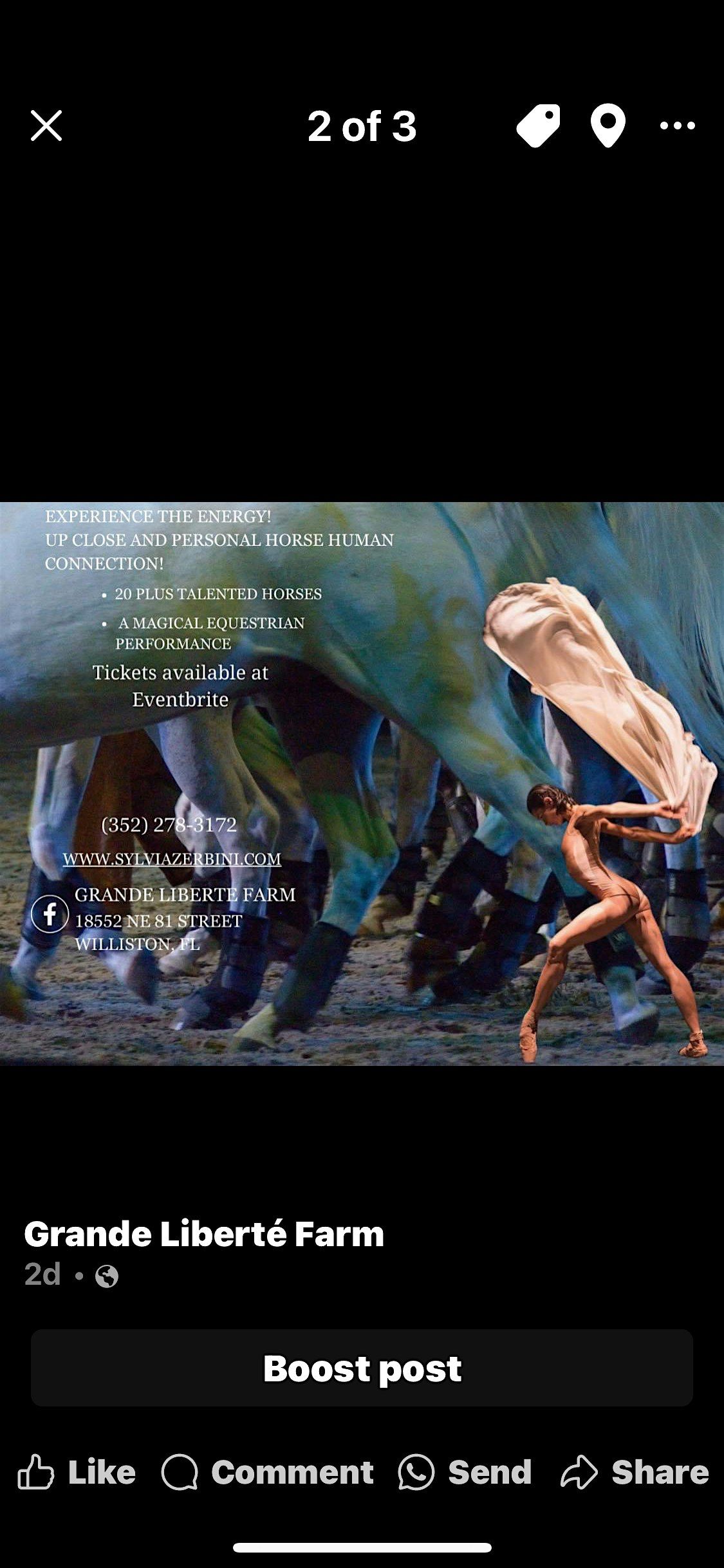 Libert\u00e9 Equestrian theater