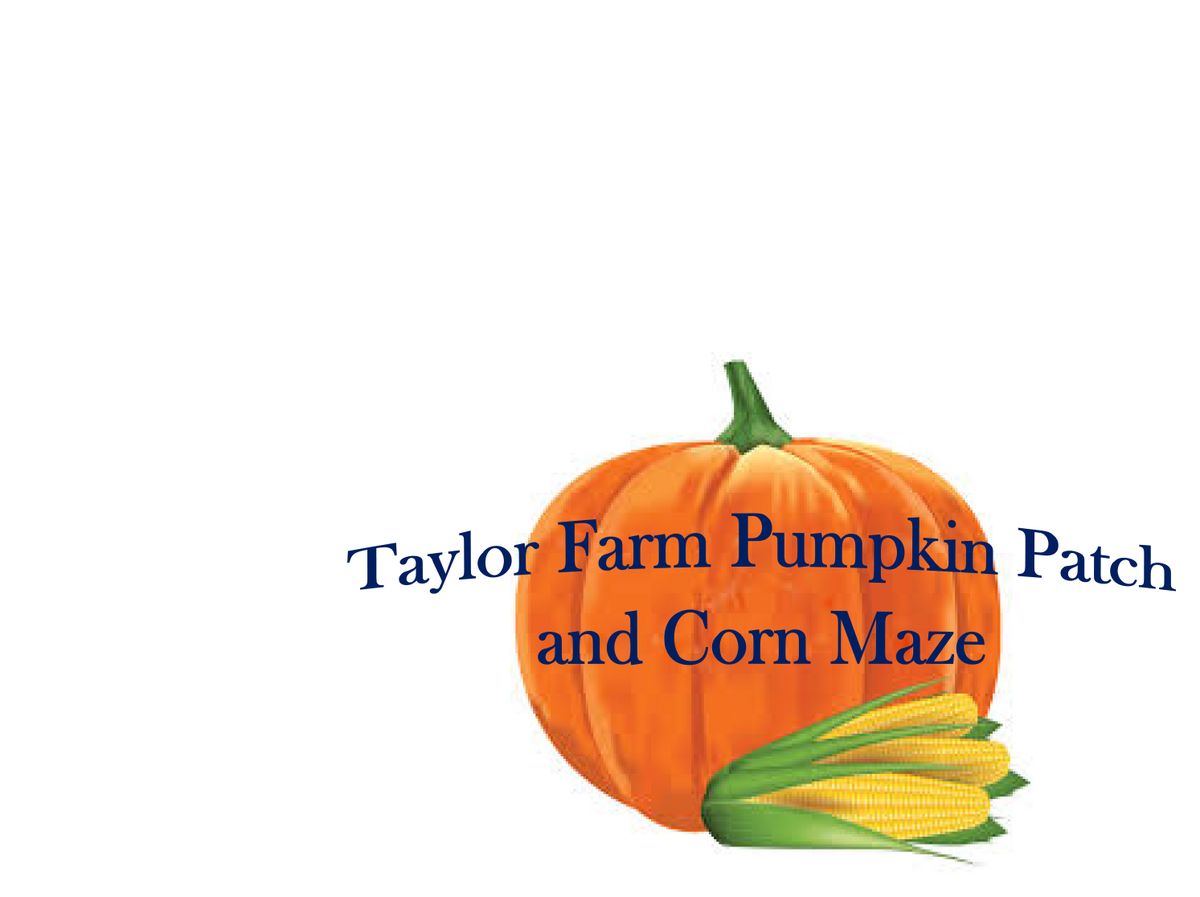 First Annual Taylor Farm Holiday Bazaar