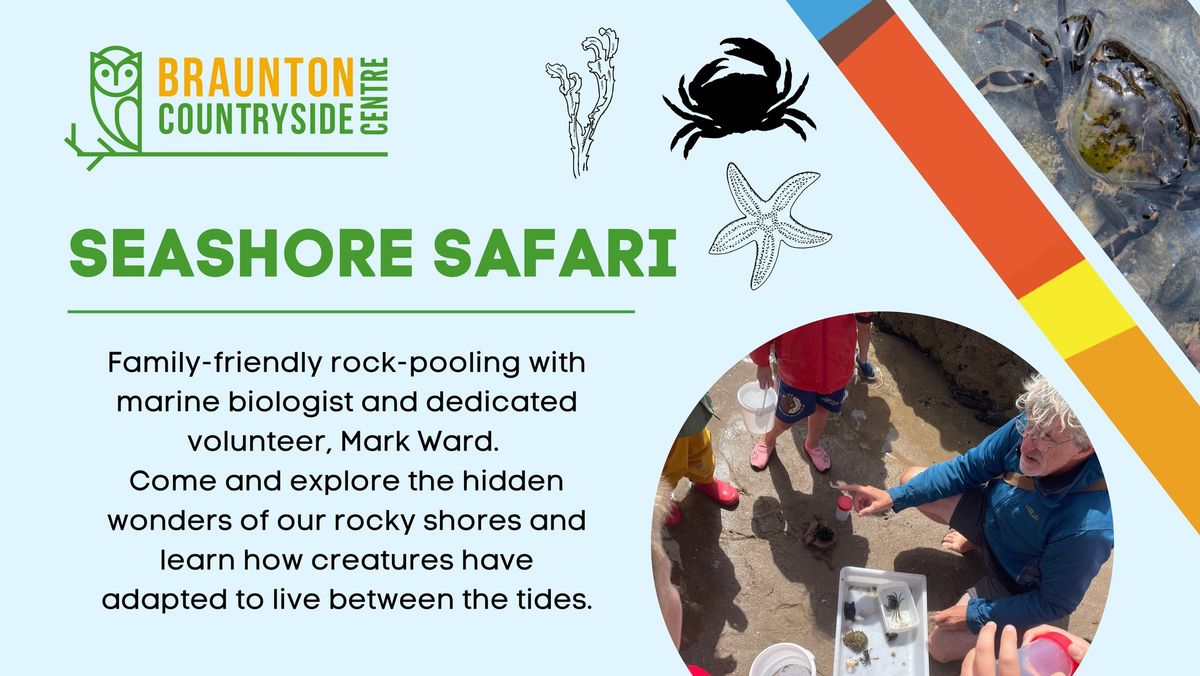 Seashore Safari