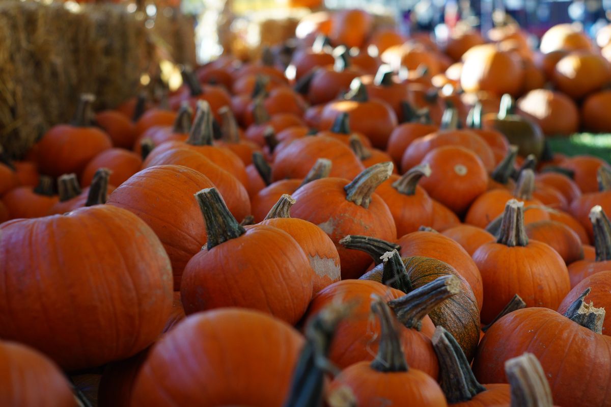 Final Farmers Market & Pumpkin Patch