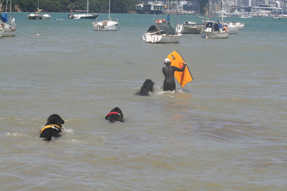 Water Training - Little Shoal Bay