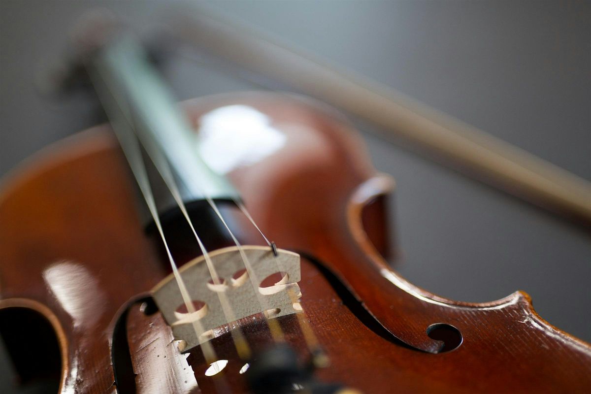 Viola-Abend
