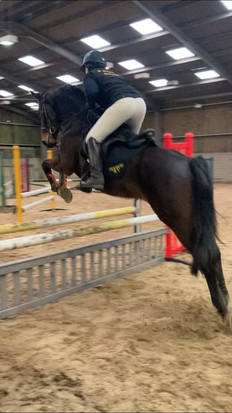 Newquay Riding Club Evening Showjumping 