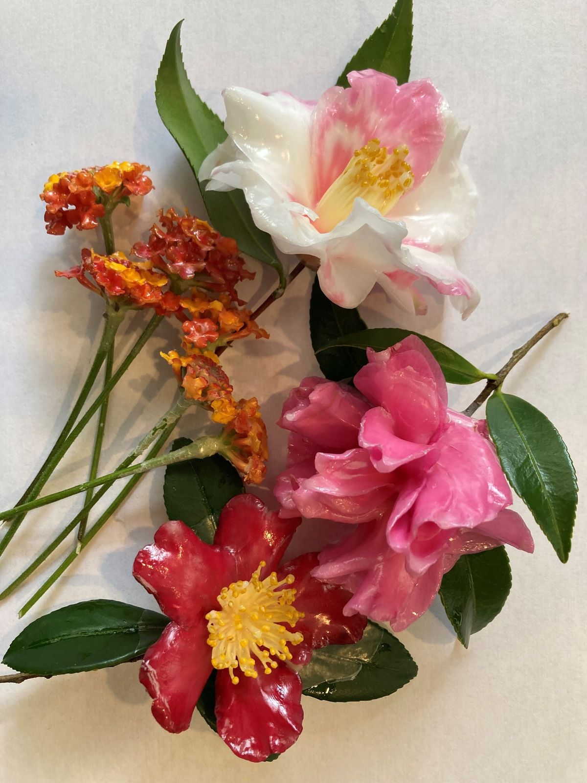 Camellias and the Art of Waxing Flowers