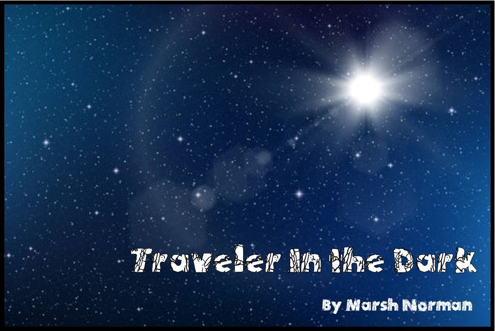 Traveler in the Dark