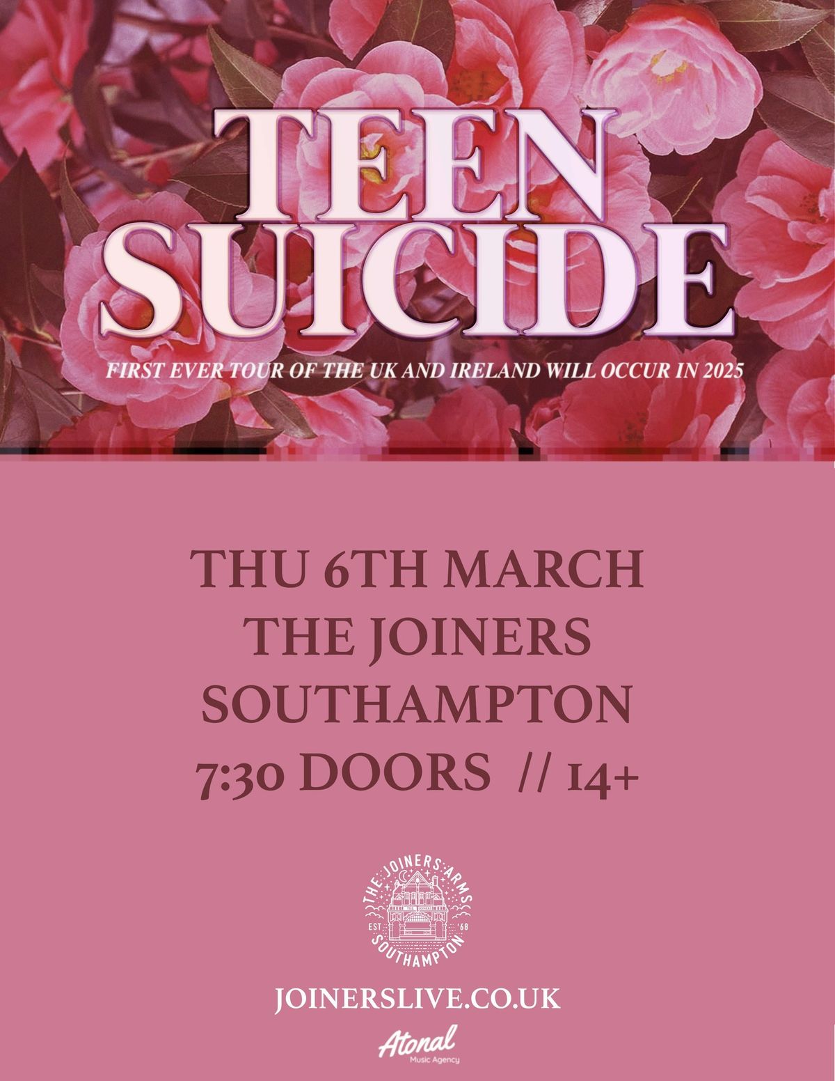 Teen Suicide at The Joiners, Southampton