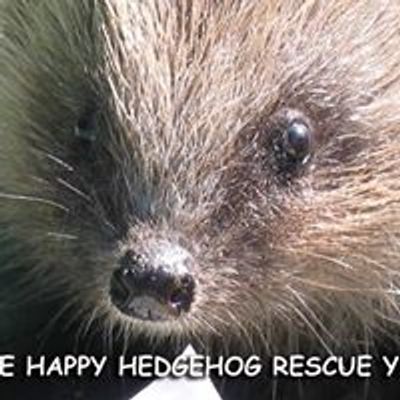 The Happy Hedgehog Rescue Yateley