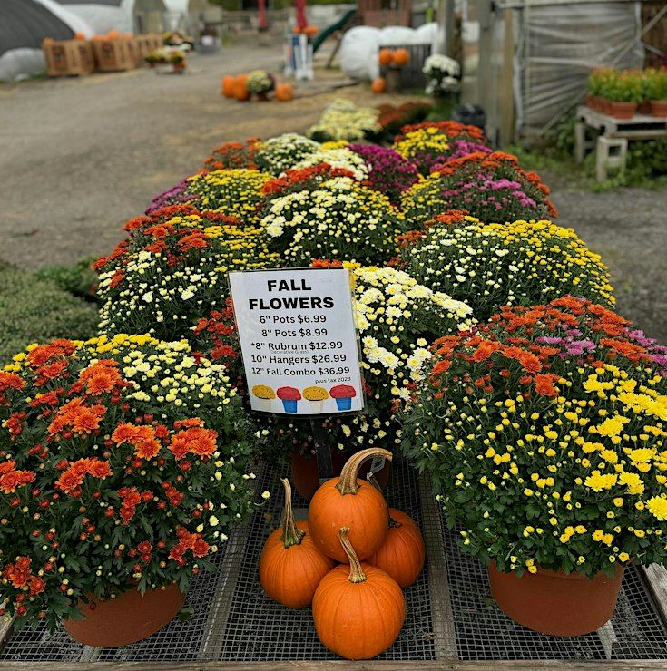 Event Photos
