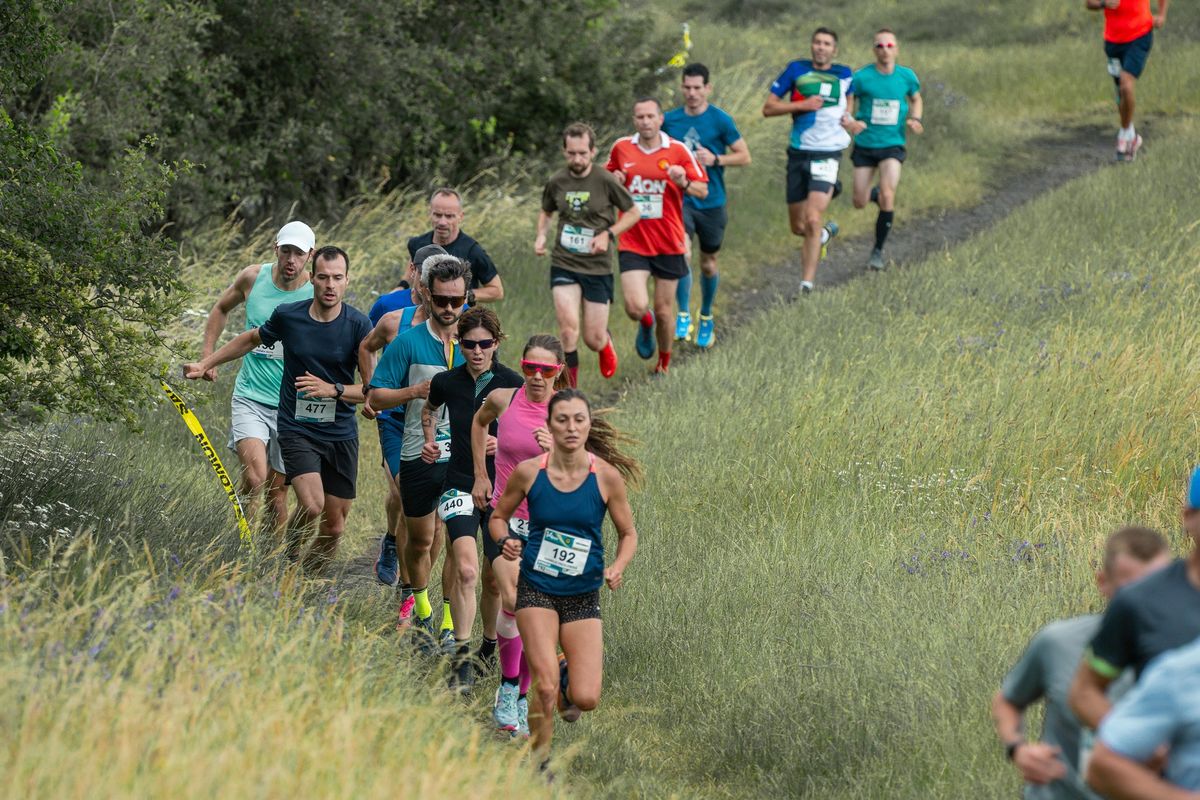 Salomon Prague Park Race - Divok\u00e1 \u0160\u00e1rka 2025