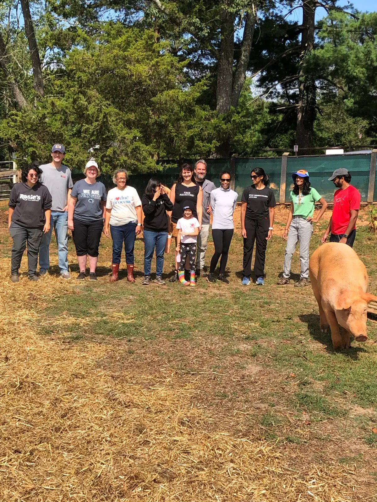 VSDC Volunteer Day at Rosie's Farm Sanctuary