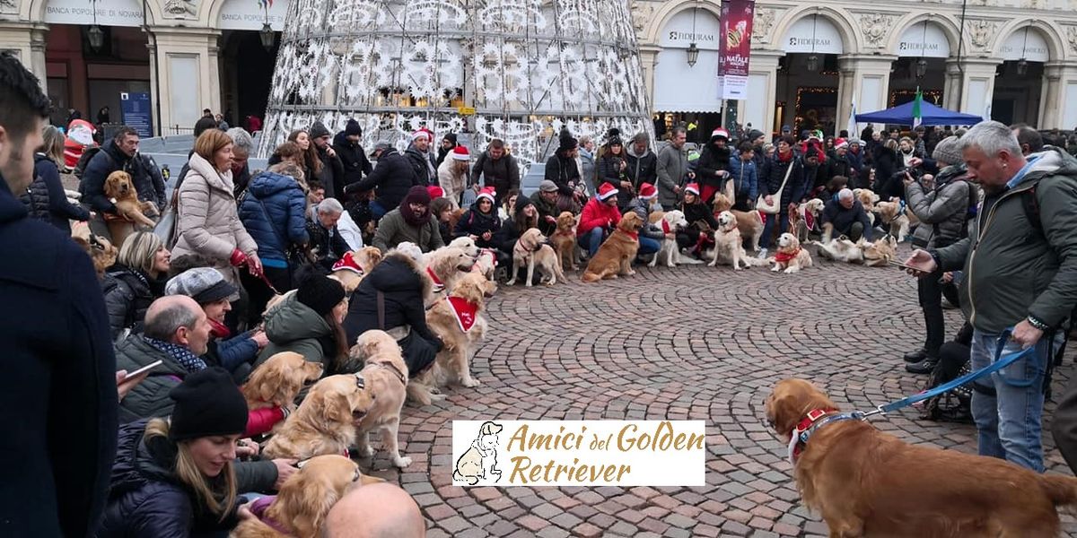 Natale con i Golden retriever 2024 a Torino 