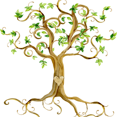 True North Awakening