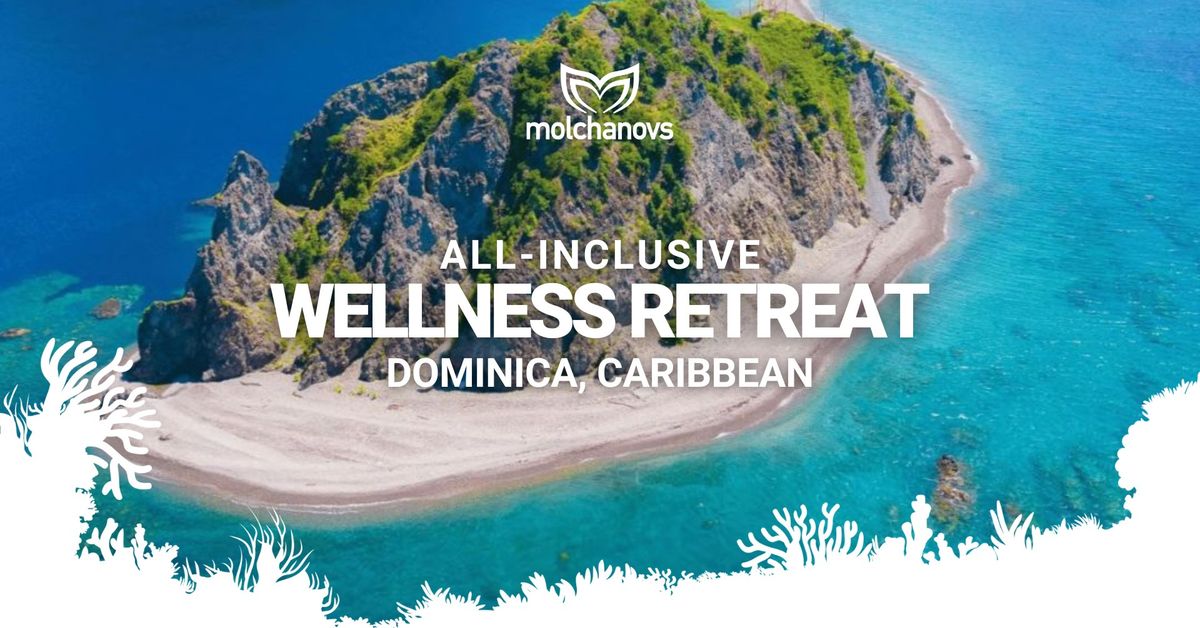 Wellness Retreat Dominica | Dive the Caribbean