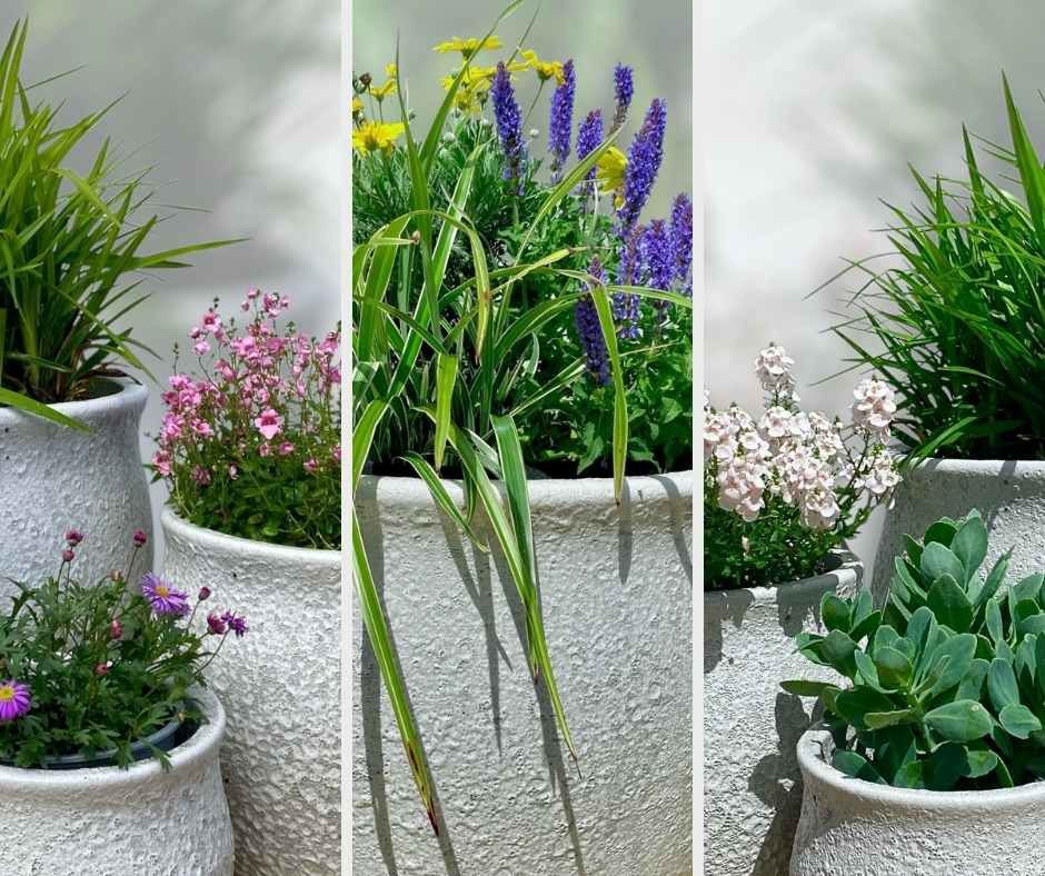 Pots by Appointment - Spring Special