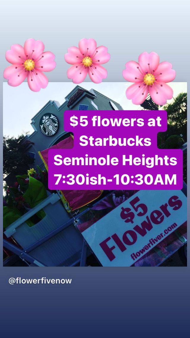 Starbucks Seminole Heights flower buggy stop