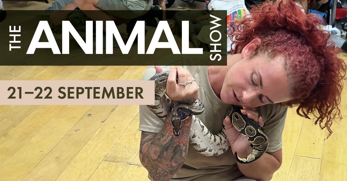 The Animal Show Live