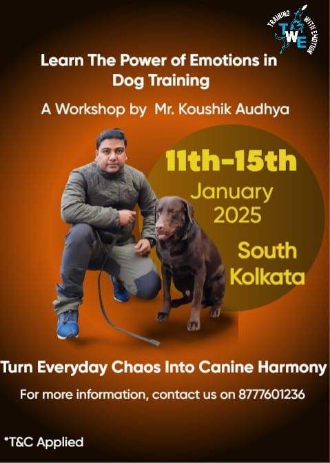 Training With Emotions Dog Training Workshop