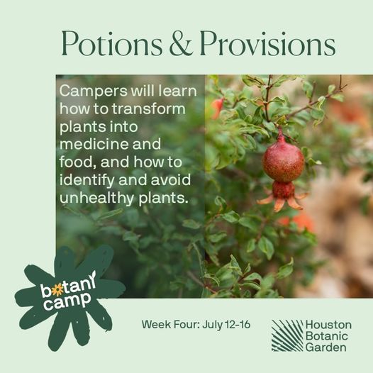 BotaniCamp: Potions & Provisions