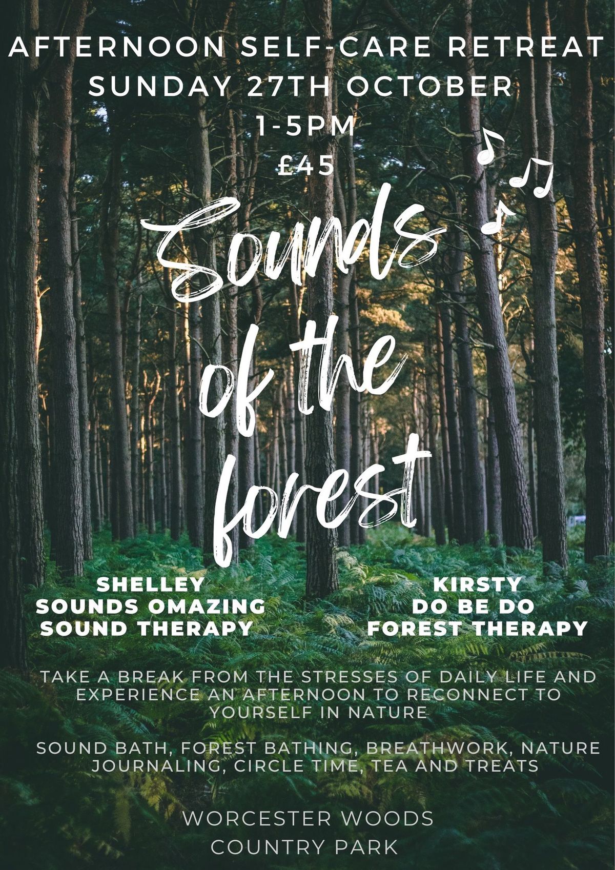 Sounds of the Forest