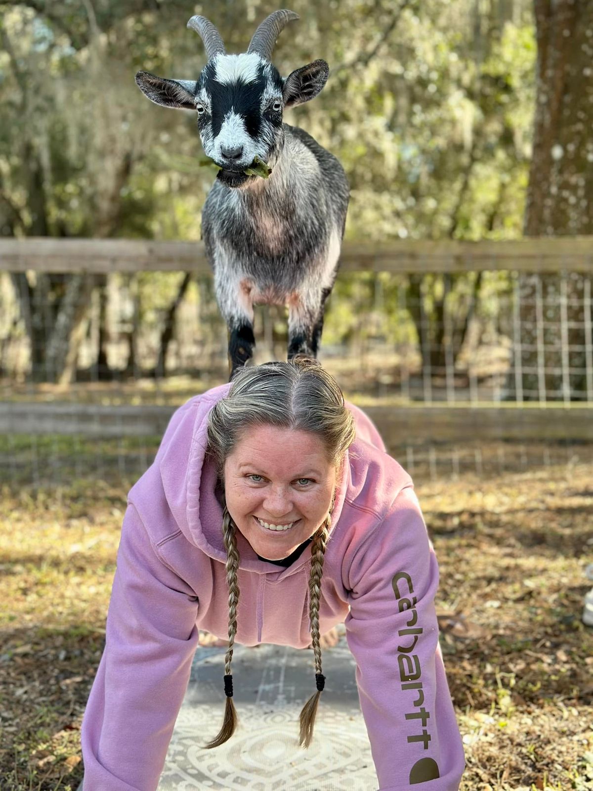 Goat Yoga DeLand