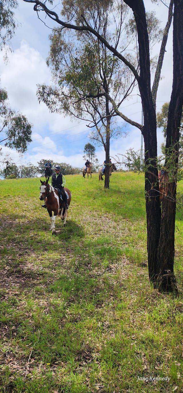 YellowScone Trail Riding\/Confidence Camp!