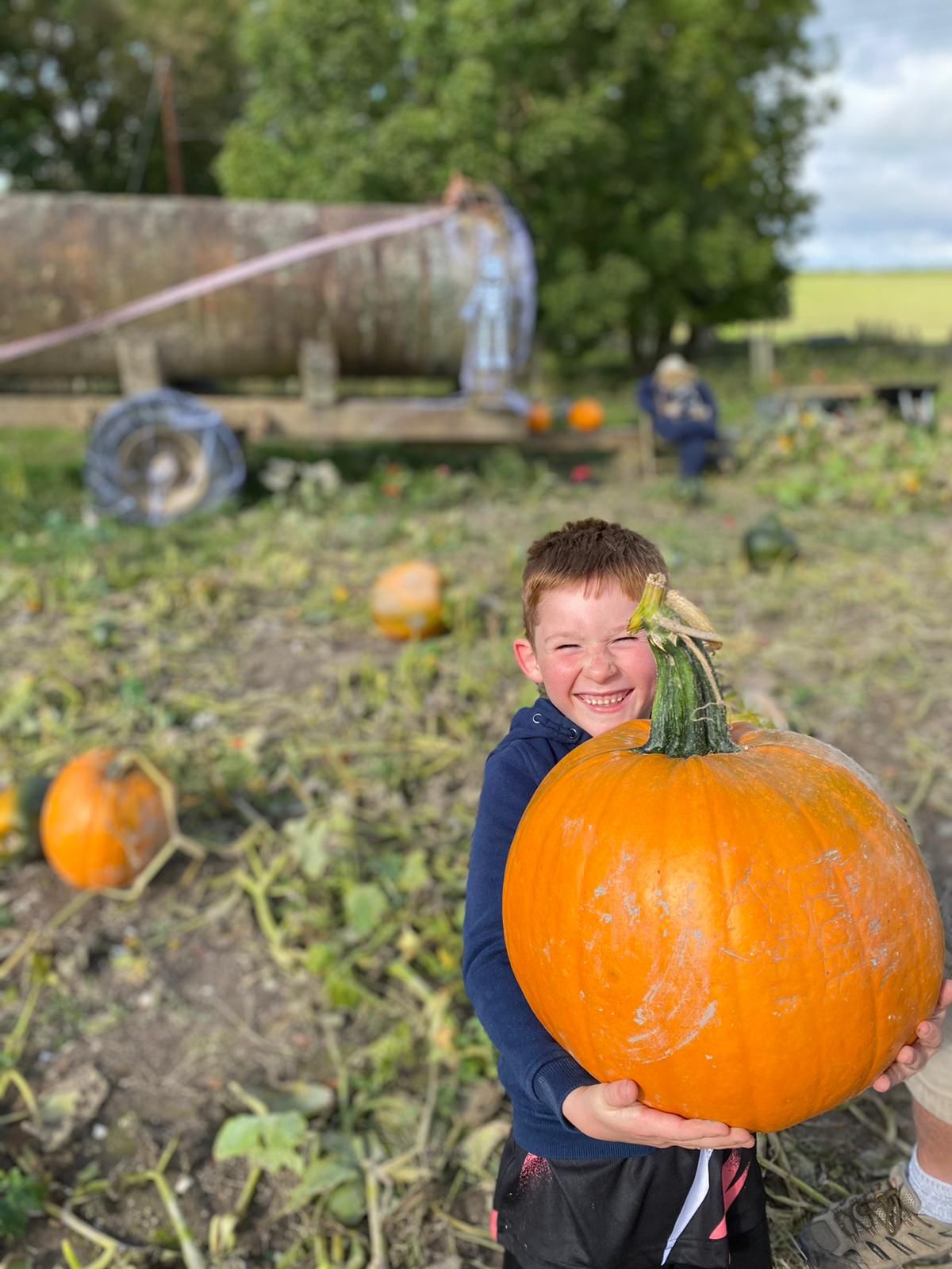 PYO Pumpkins, Nr Bulford