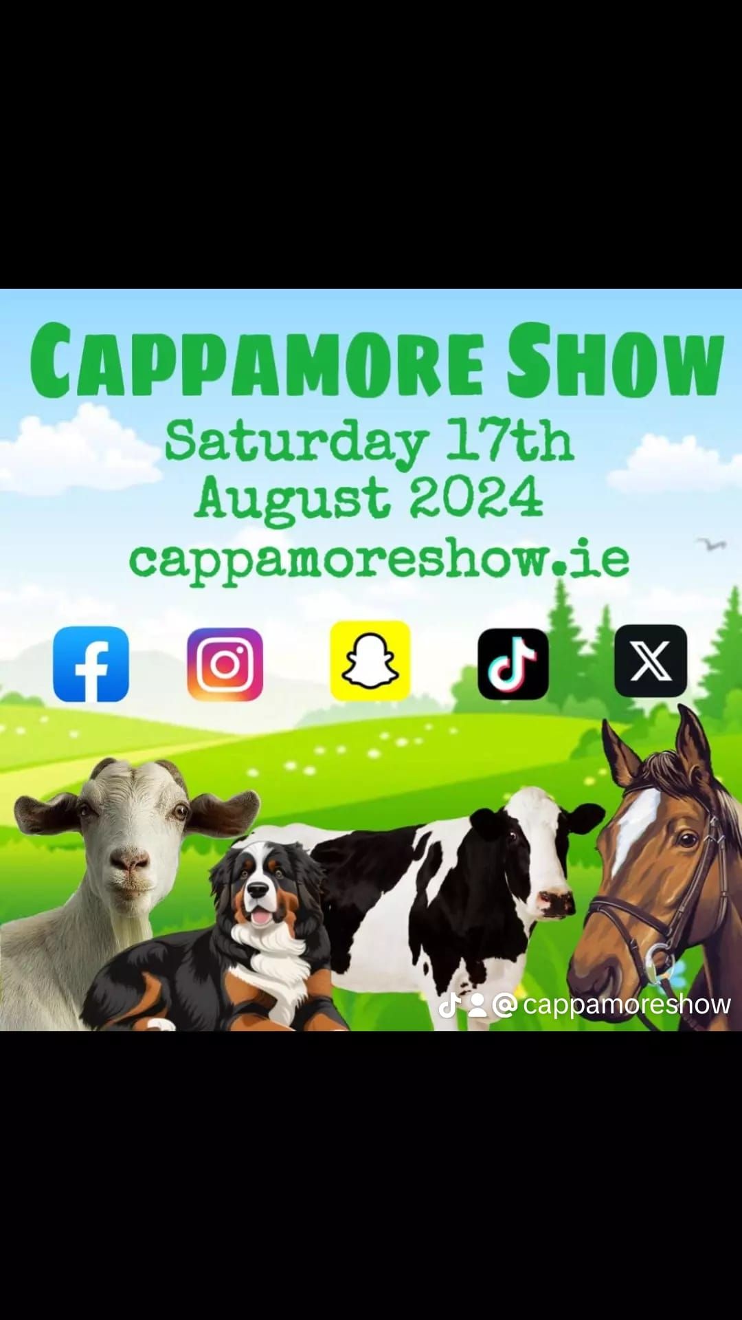Cappamore Show 2024