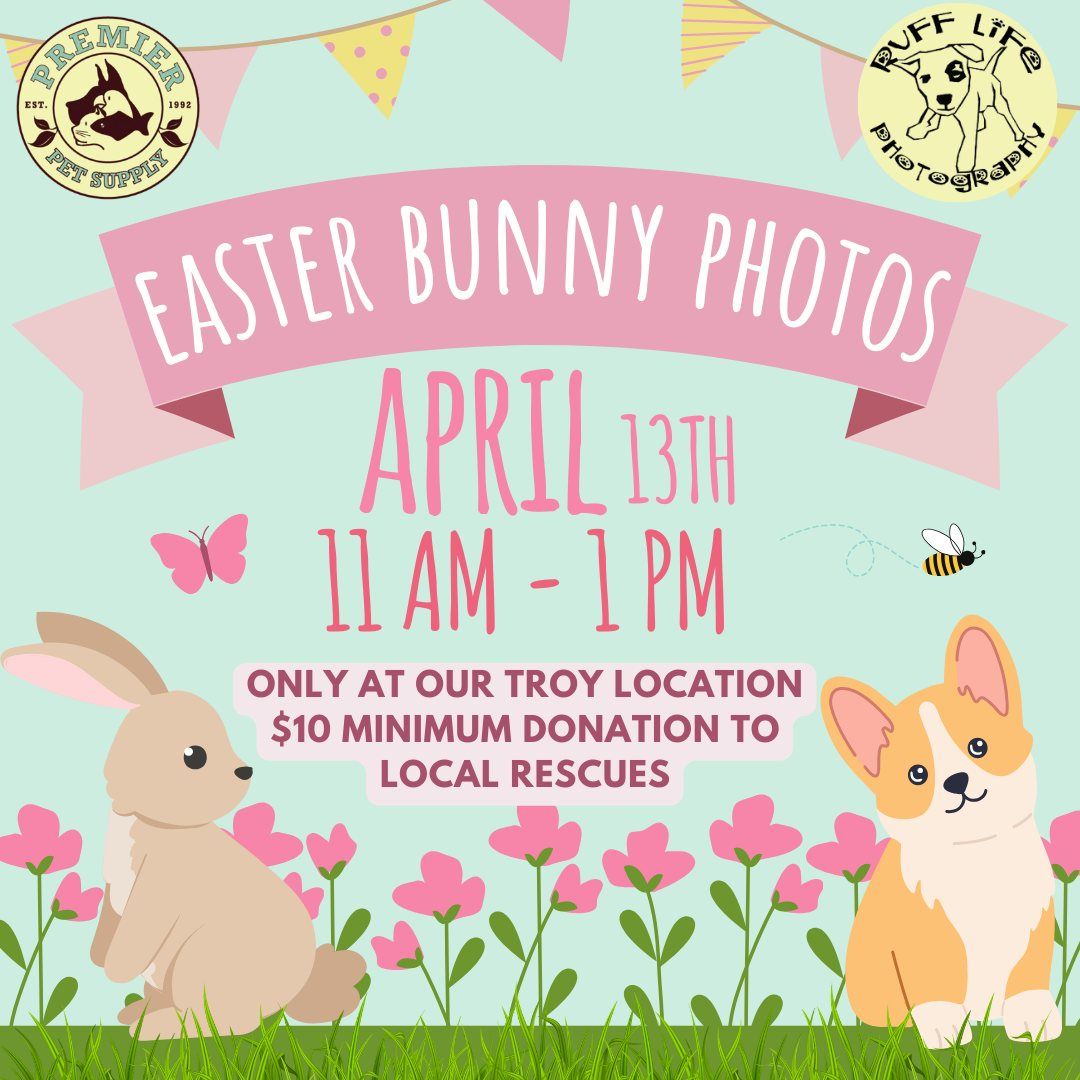 Easter Pet Photos W\/ Ruff Life Photography!