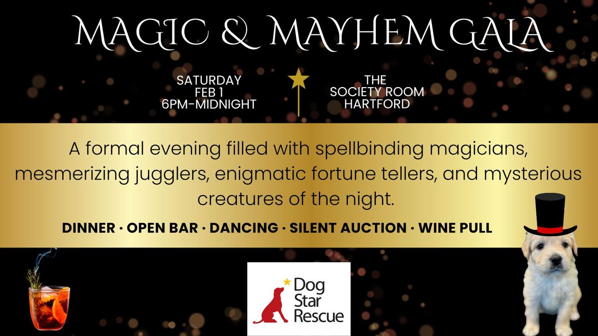 Magic & Mayhem Gala benefitting Dog Star Rescue