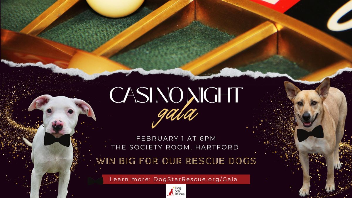 Casino Night Gala Fundraiser for Dog Star Rescue