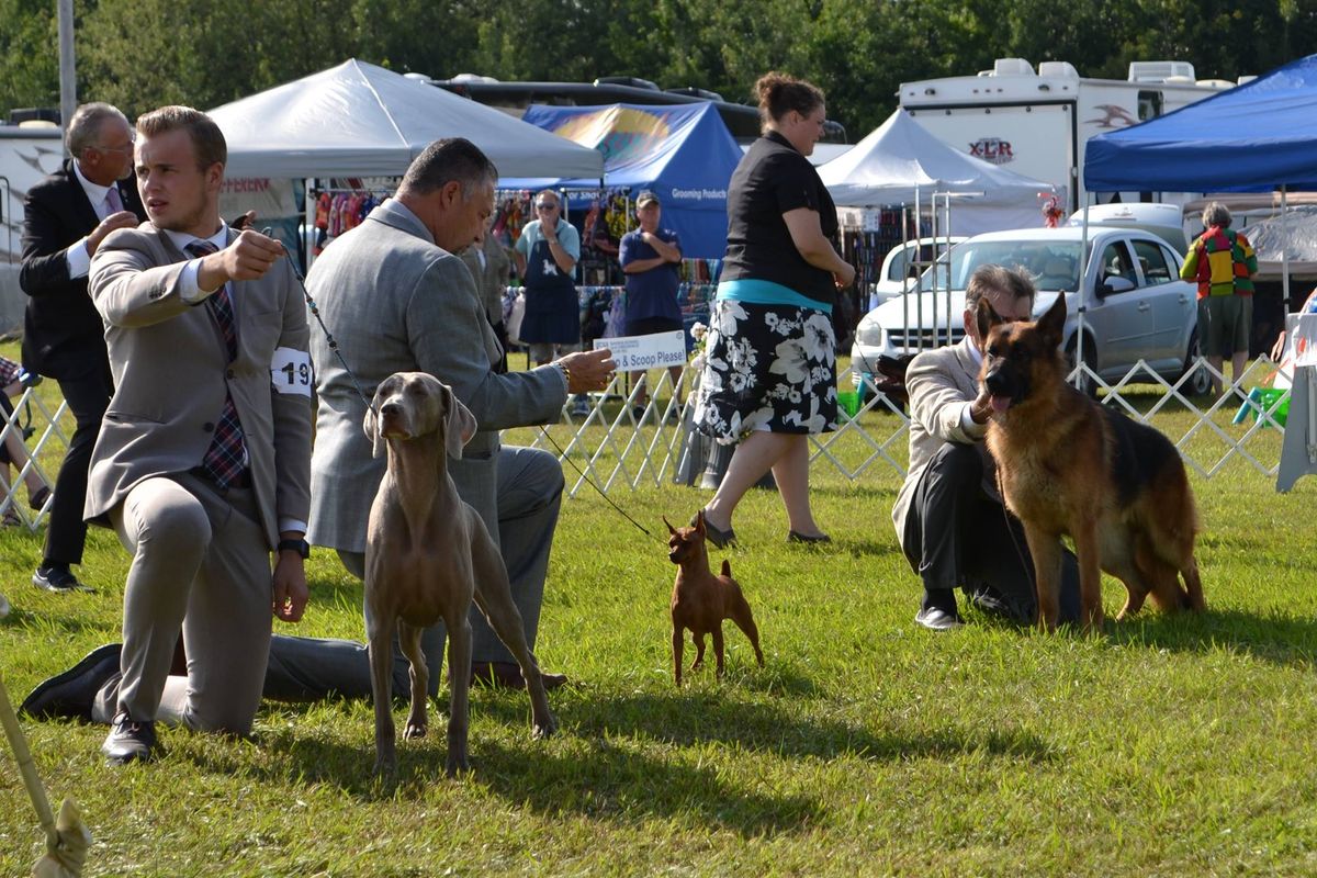 Obedience sanction match 