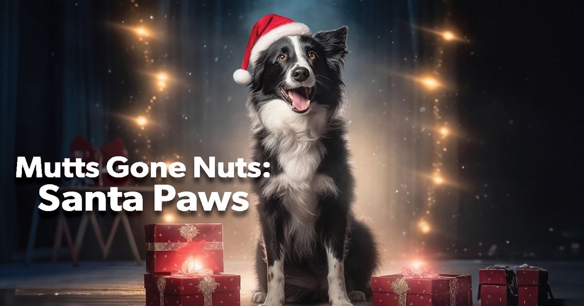 Mutta Gone Nuts: Santa Paws