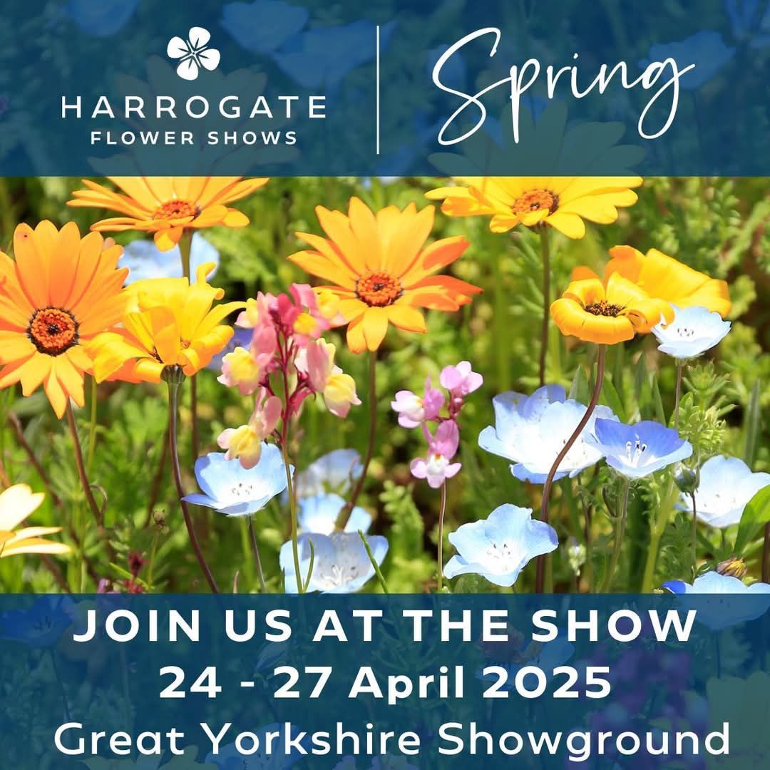 Harrogate Flower Show Coach Trip