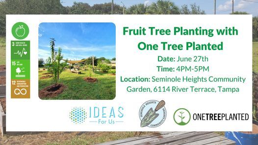 Fruit Tree Planting with One Tree Planted