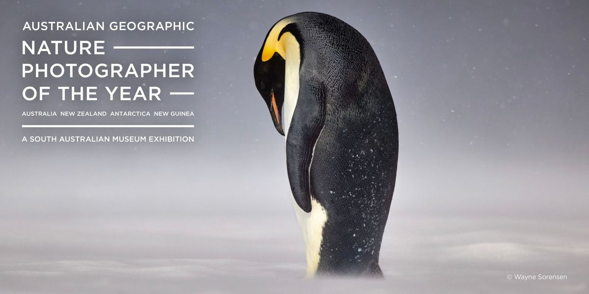 Australian Geographic Nature Photographer of the Year Exhibition 2024