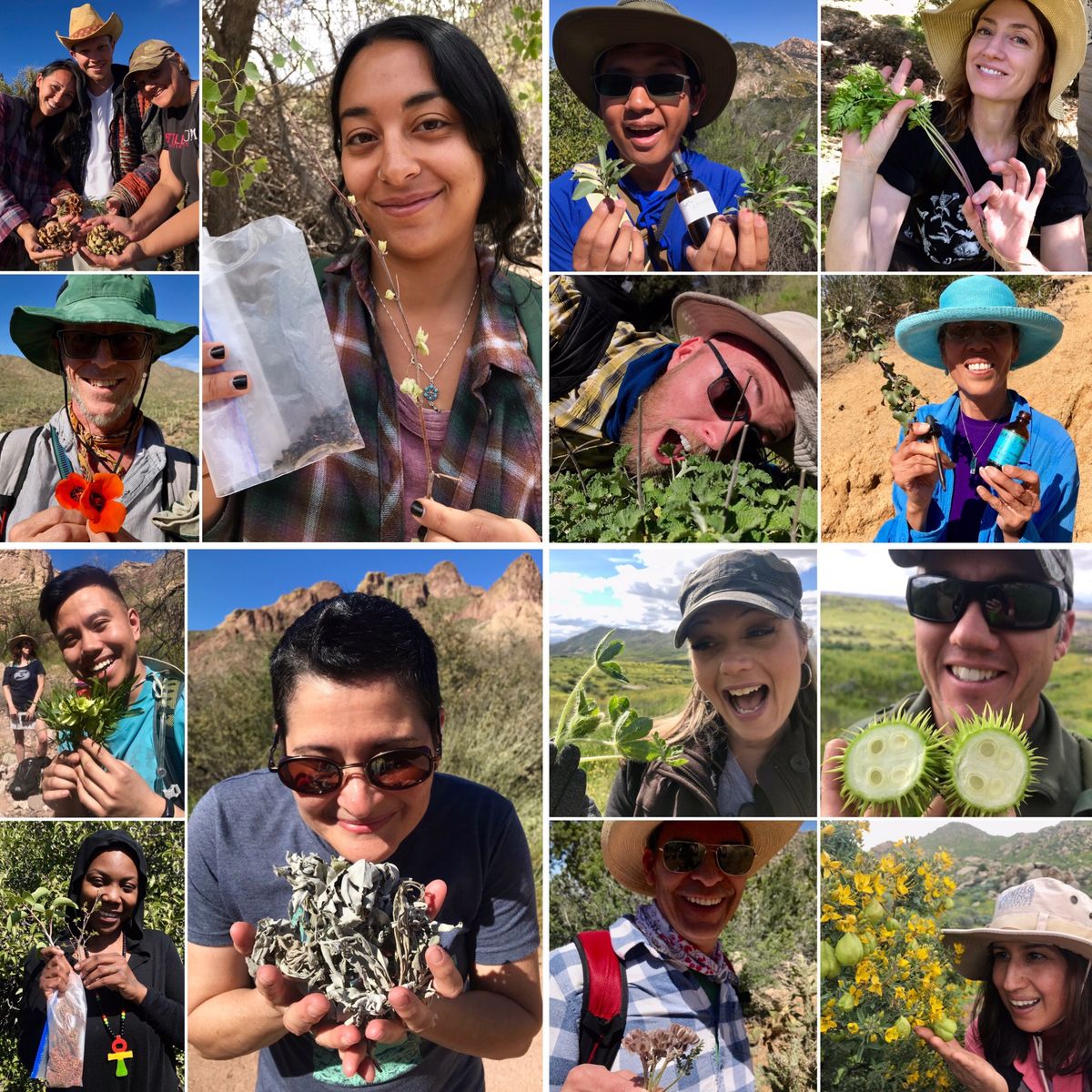 Edible & Medicinal Plants of Orange County: Herb Walk