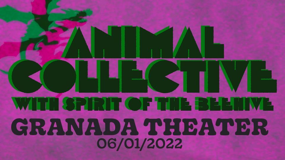 Animal Collective Live at Granada Theater