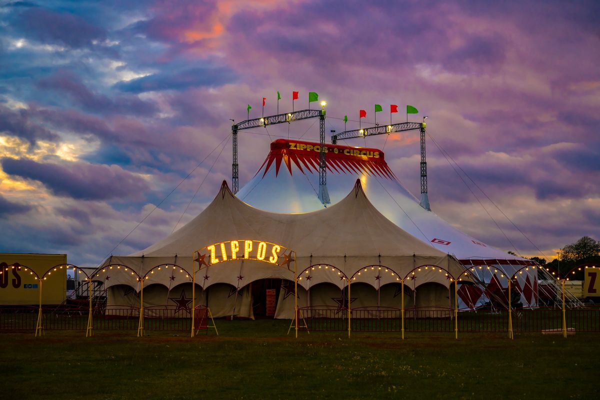 Zippos Circus \u2013 Ayr 7\u201312 August 2024 (Promo code FLG45 saves up to 30% off tickets!)