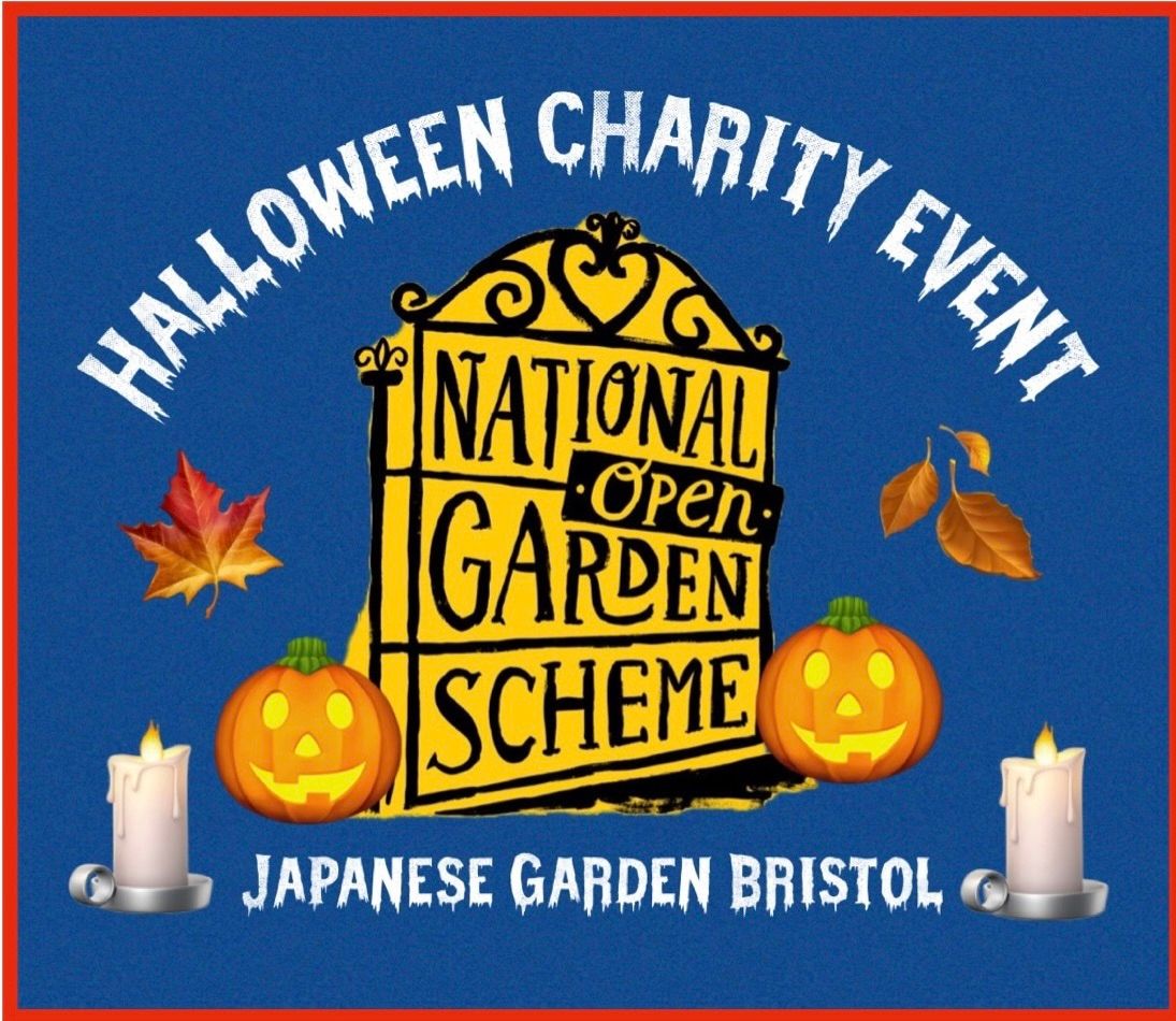 Halloween charity event 