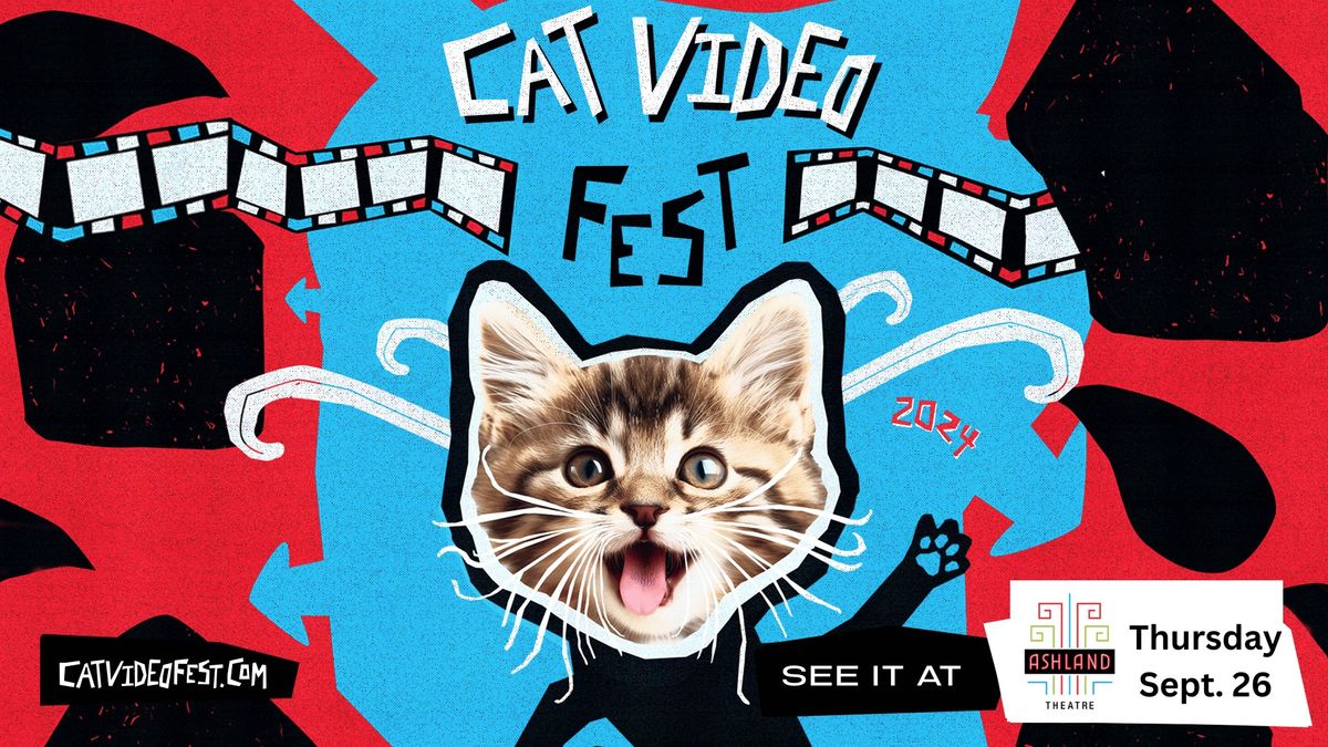 CatVideoFest - 2024!  One Night Only!