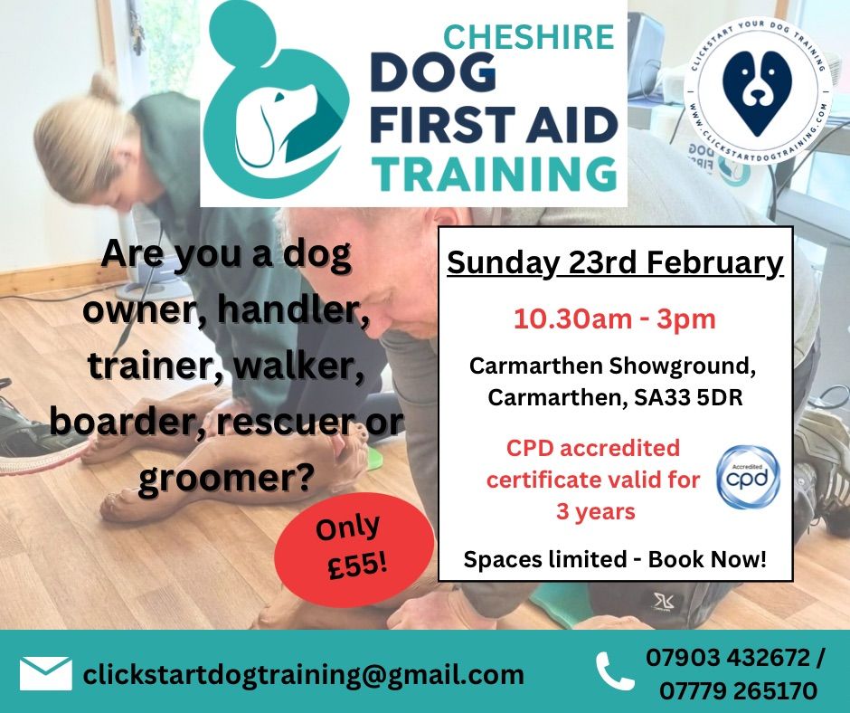 Dog First Aid Training