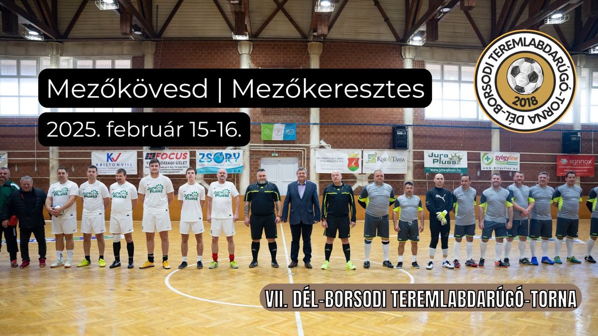 VII. D\u00c9L-BORSODI TEREMLABDAR\u00daG\u00d3-TORNA