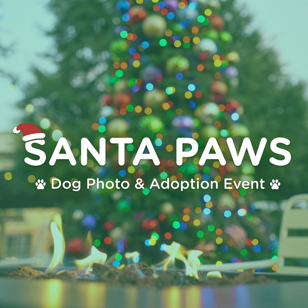 Santa Paws: Dog Photo and Adoption Event