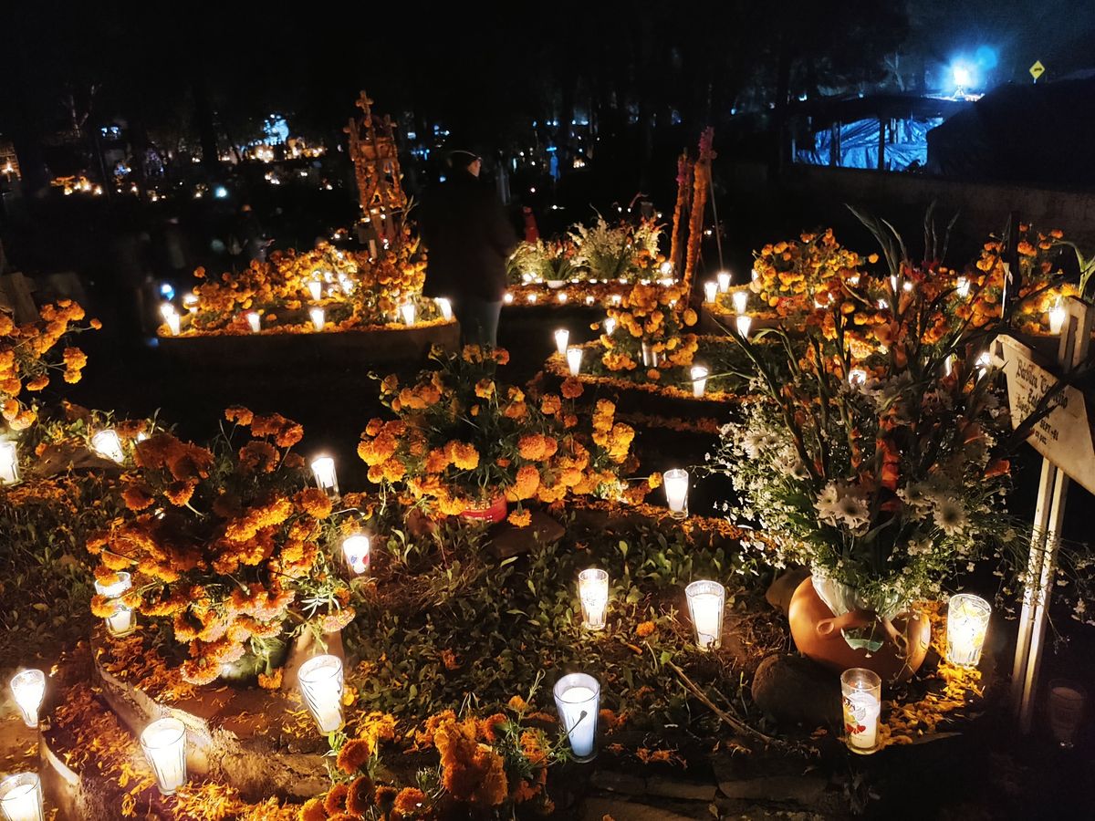 Celebracion de Dia de Muertos (ida y vuelta)