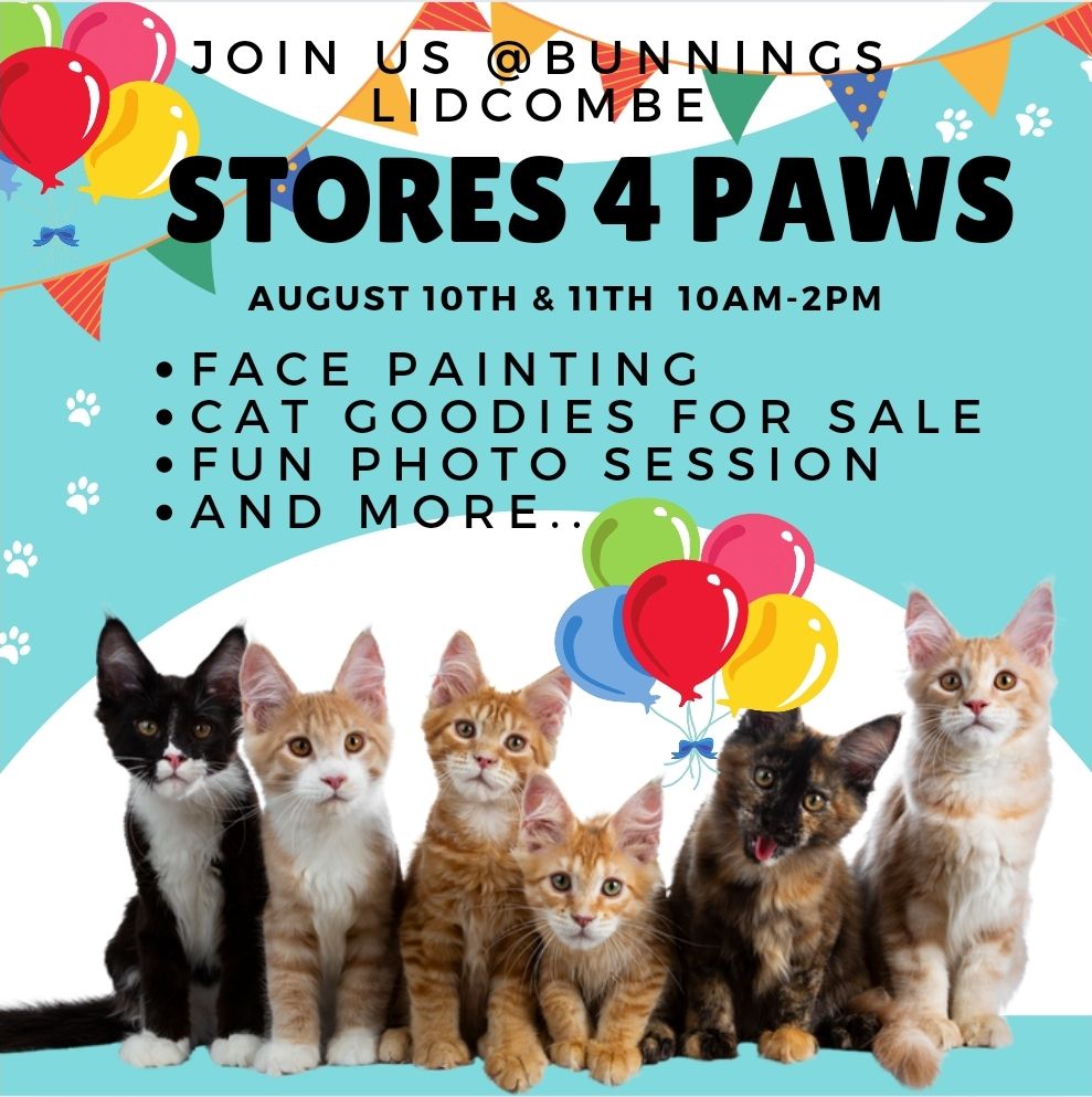 Stores 4 Paws