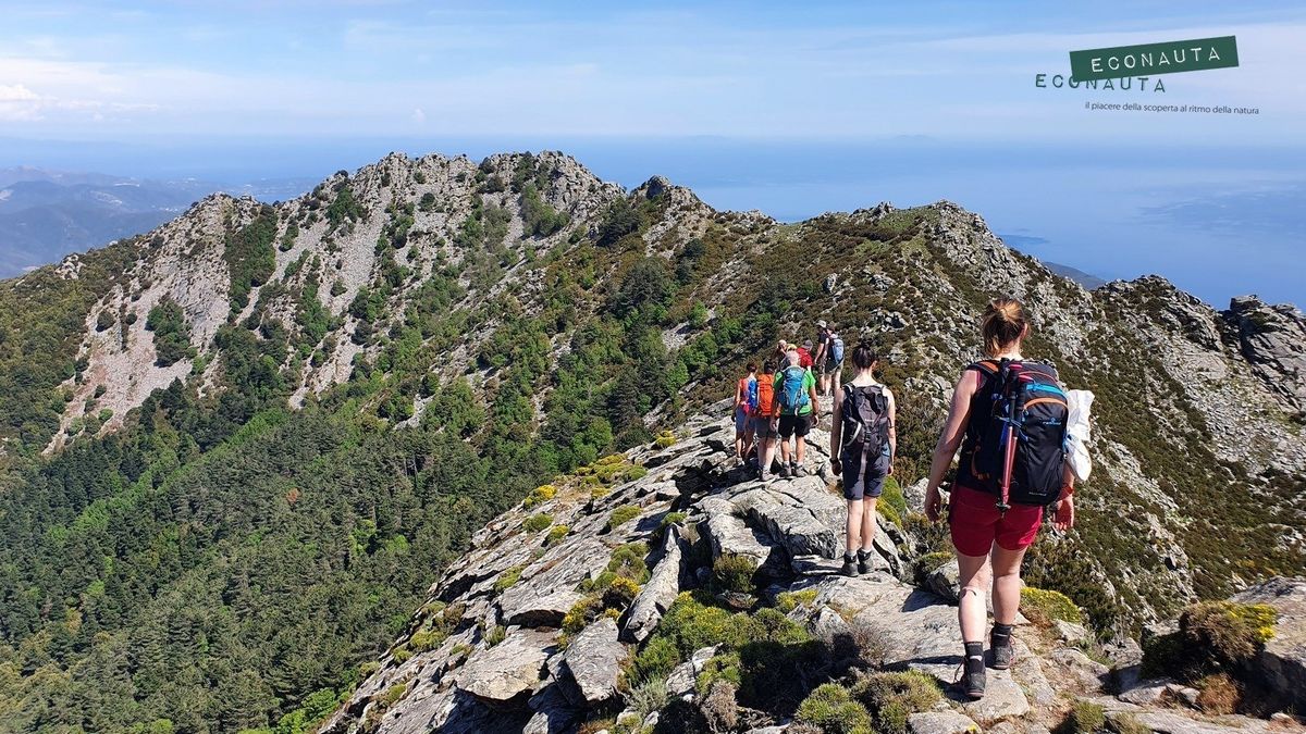 Trekking, Il Cammino Elbano\u00ae