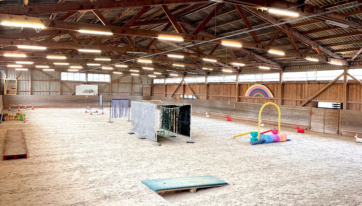 Horse Agility Kurs, 23.2.2025 in 5200 Brugg