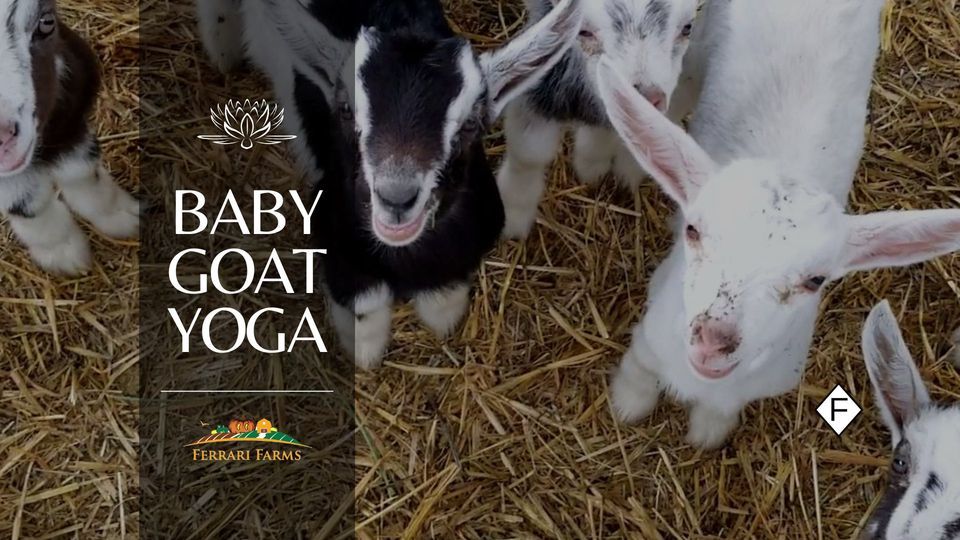 Sold Out - Ferrari Farms Mother's Day Baby Goat Yoga - 5\/11\/24 - 1:30 pm